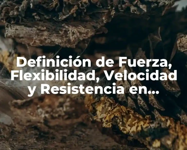 Definición de Fuerza, Flexibilidad, Velocidad y Resistencia en Biomecánica