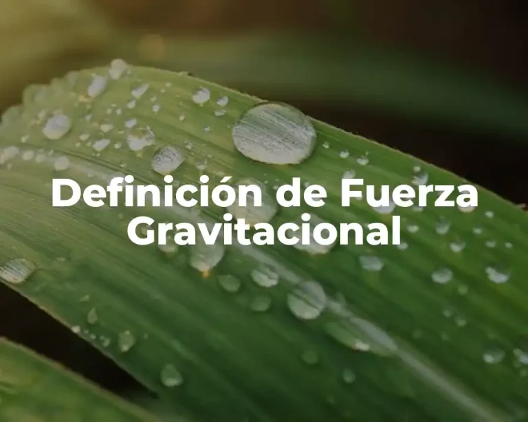 Definición de Fuerza Gravitacional