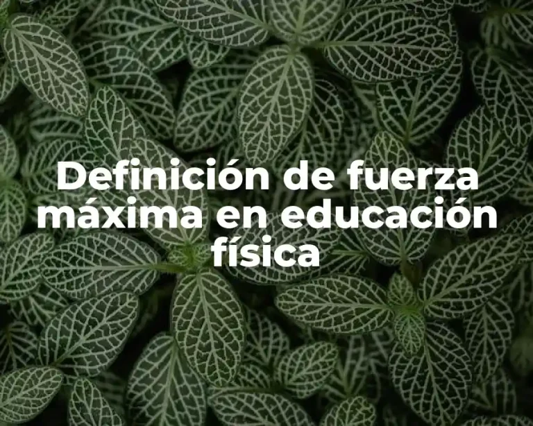 Definición de fuerza máxima en educación física
