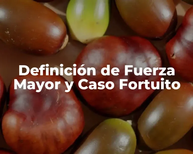 Definición de Fuerza Mayor y Caso Fortuito