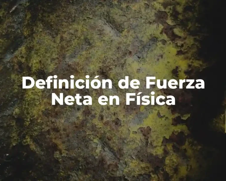 Definición de Fuerza Neta en Física