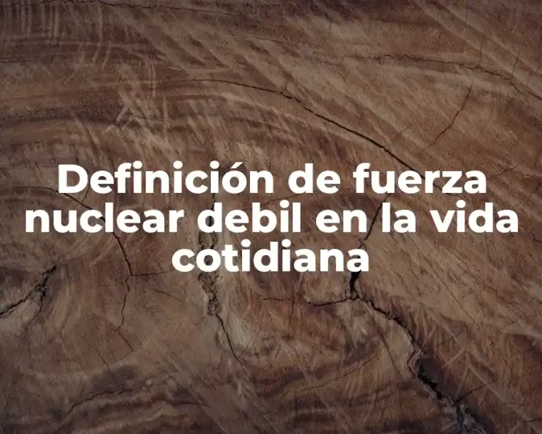 Definición de fuerza nuclear debil en la vida cotidiana