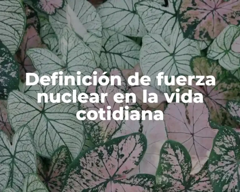 Definición de fuerza nuclear en la vida cotidiana