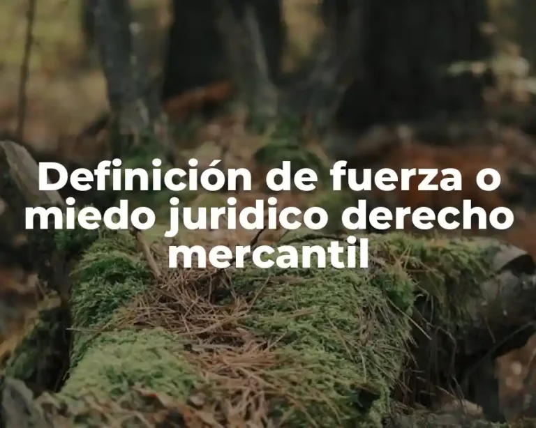 Definición de fuerza o miedo juridico derecho mercantil