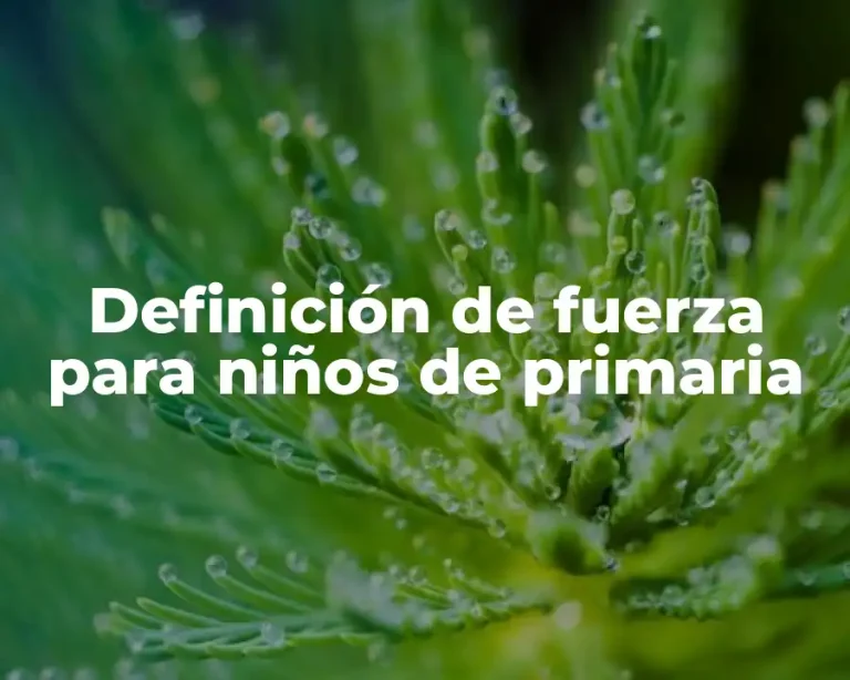 Definición de fuerza para niños de primaria