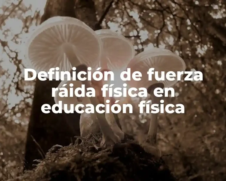 Definición de fuerza ráida física en educación física