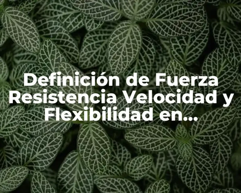 Definición de Fuerza Resistencia Velocidad y Flexibilidad en Educación Física