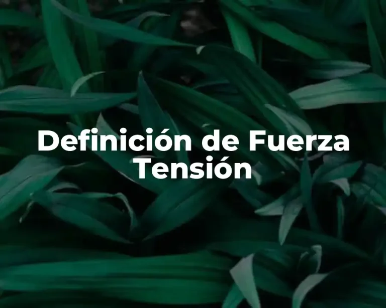 Definición de Fuerza Tensión