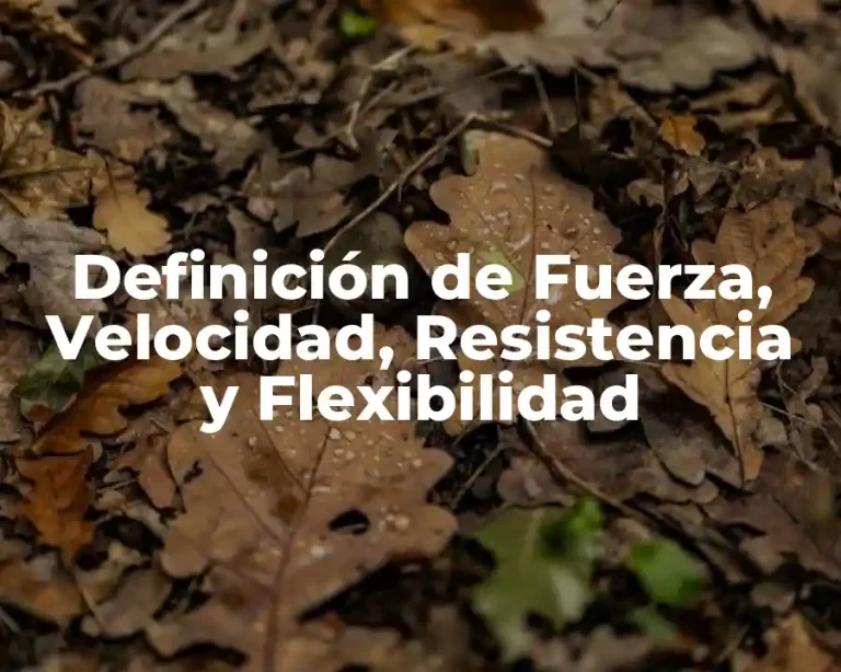 Definición de Fuerza, Velocidad, Resistencia y Flexibilidad