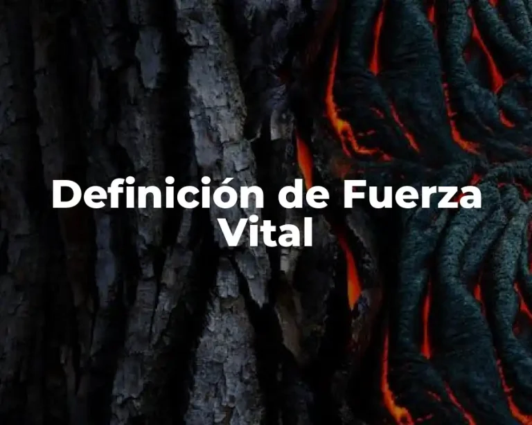 Definición de Fuerza Vital