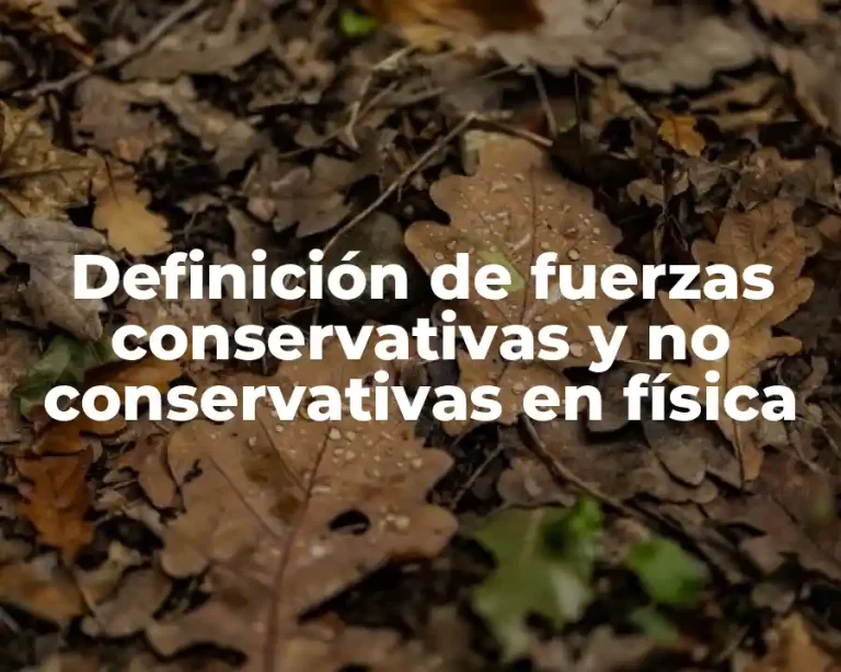 Definición de fuerzas conservativas y no conservativas en física