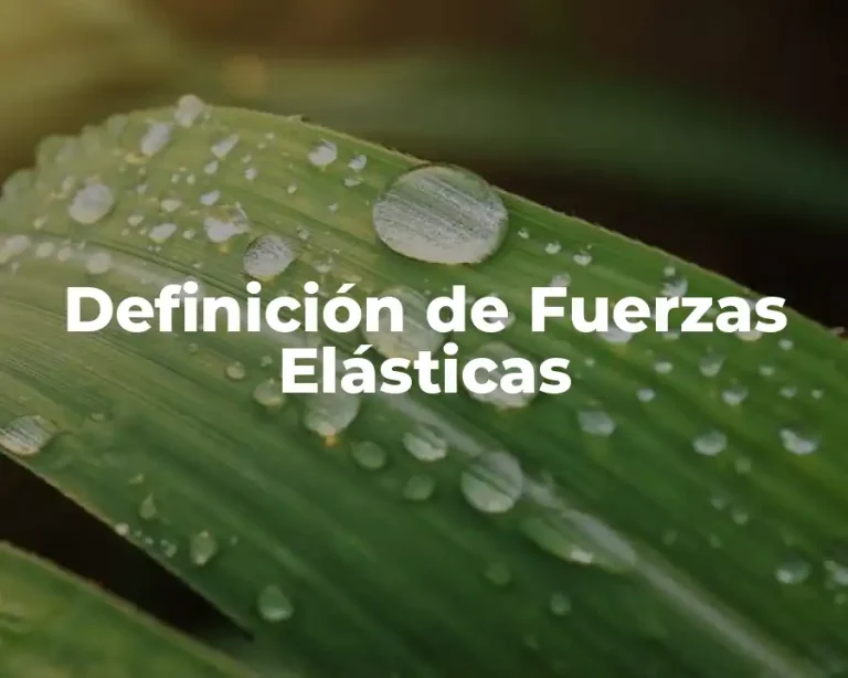 Definición de Fuerzas Elásticas