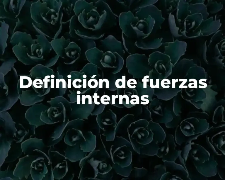 Definición de fuerzas internas