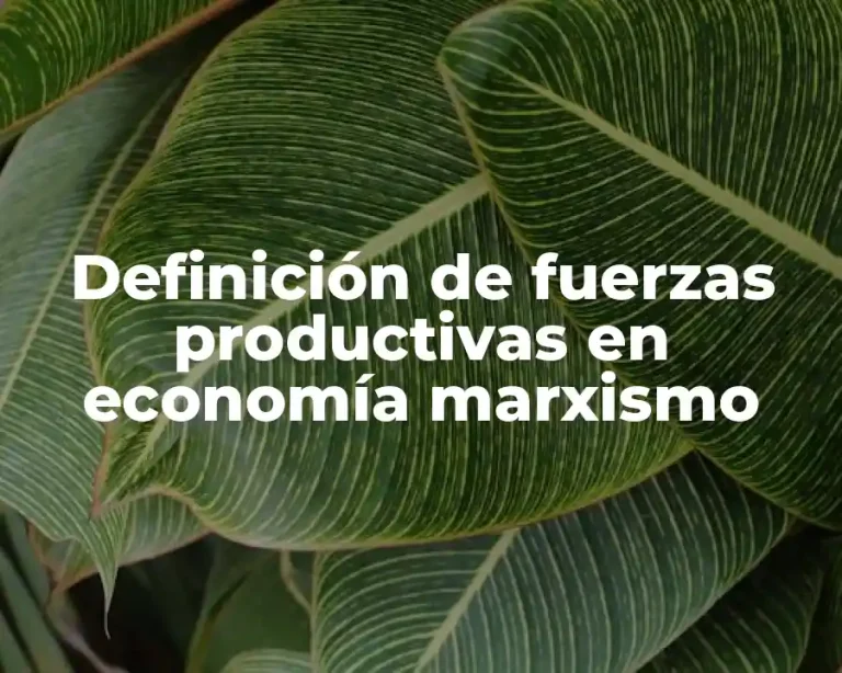 Definición de fuerzas productivas en economía marxismo