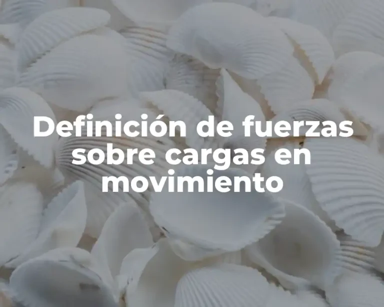 Definición de fuerzas sobre cargas en movimiento