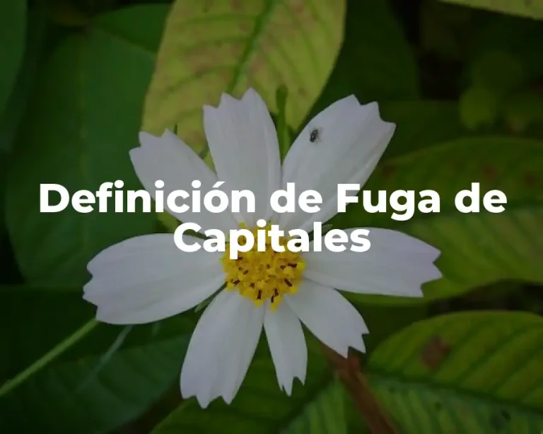 Definición de Fuga de Capitales