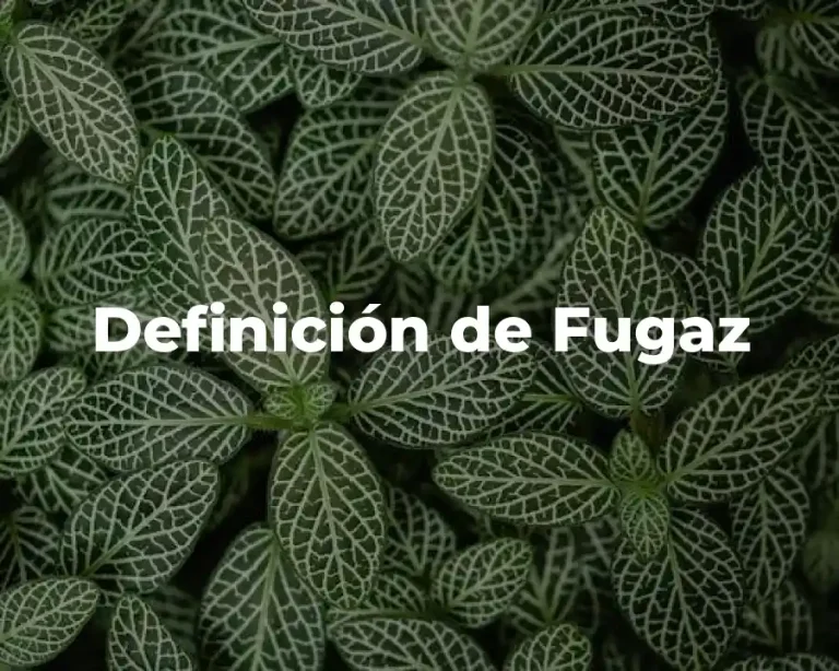Definición de Fugaz