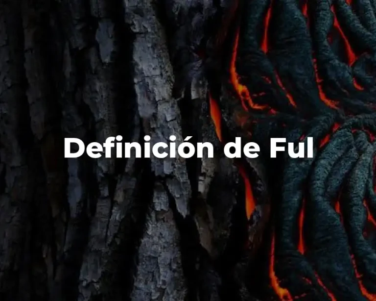Definición de Ful