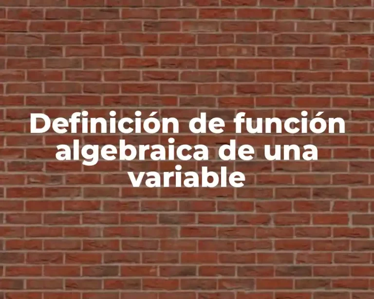 Definición de función algebraica de una variable