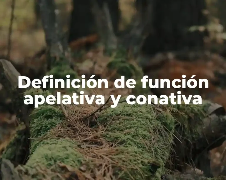 Definición de función apelativa y conativa