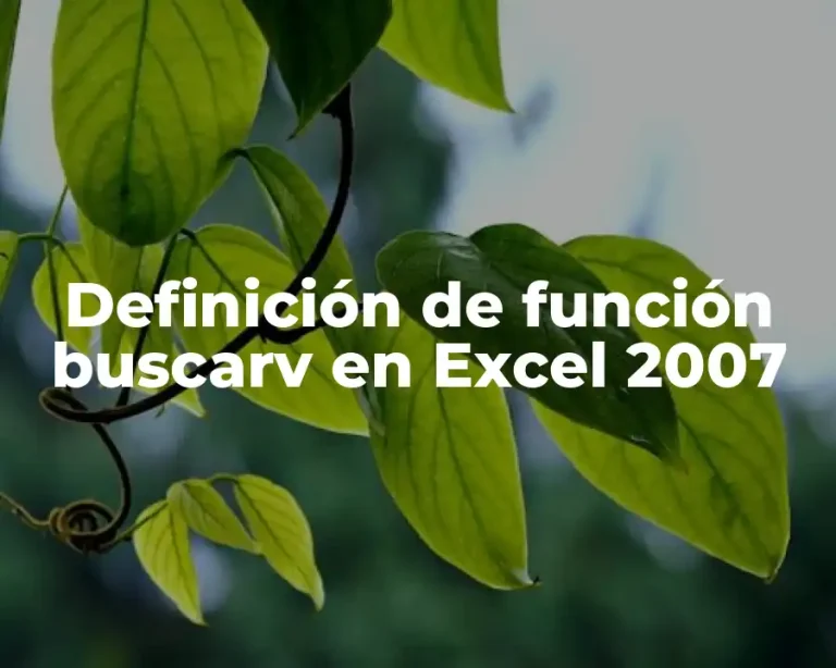 Definición de función buscarv en Excel 2007