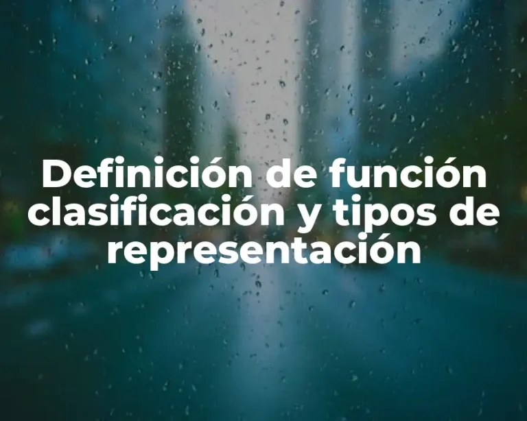 Definición de función clasificación y tipos de representación