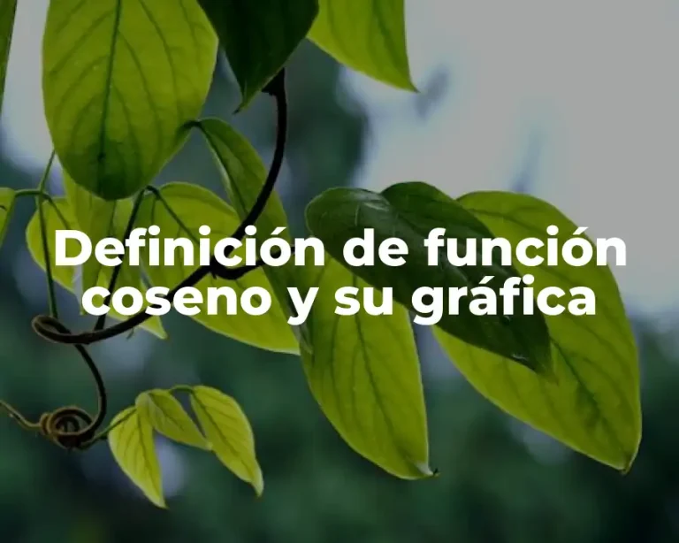 Definición de función coseno y su gráfica