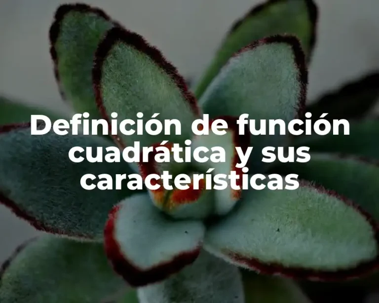 Definición de función cuadrática y sus características