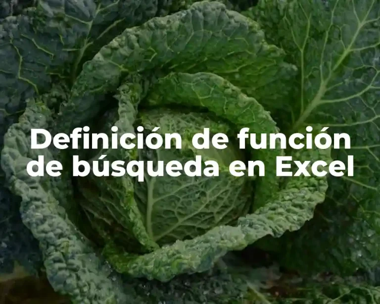 Definición de función de búsqueda en Excel
