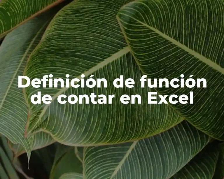 Definición de función de contar en Excel