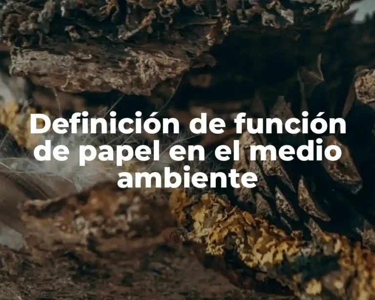 Definición de función de papel en el medio ambiente