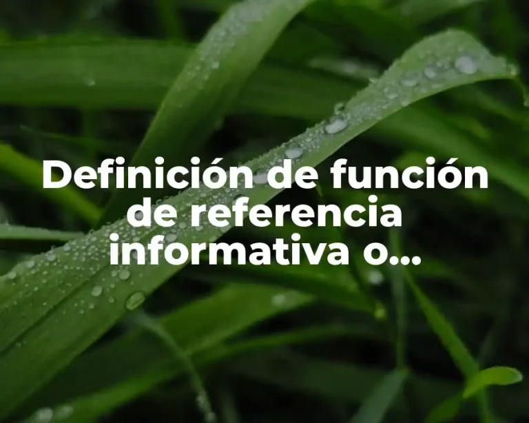 Definición de función de referencia informativa o representativa