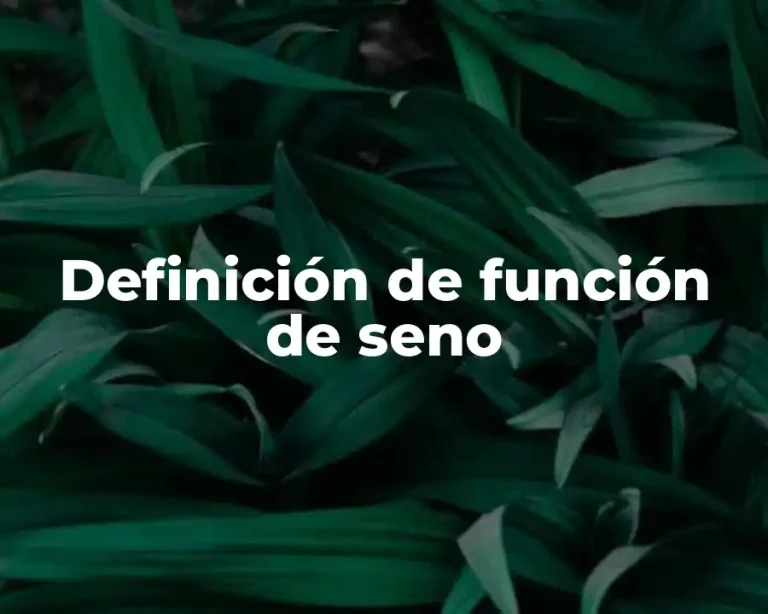 Definición de función de seno