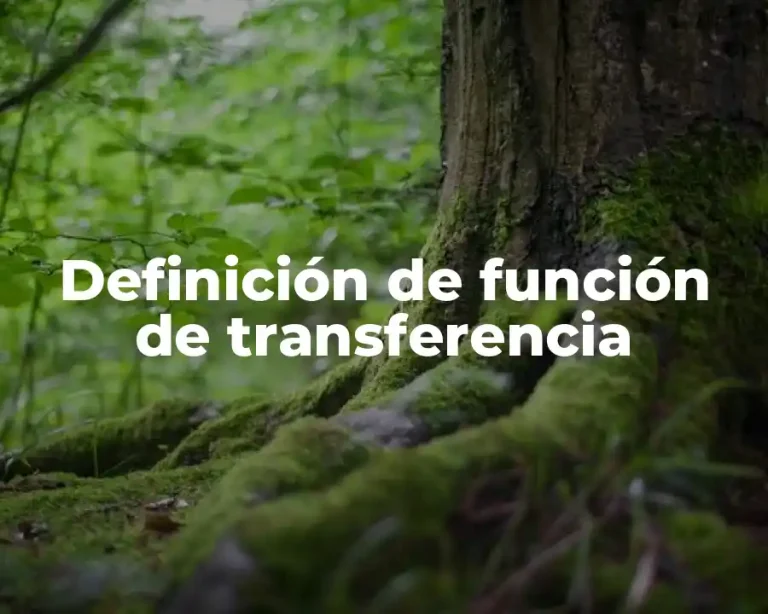 Definición de función de transferencia