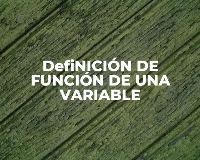 DefiNICIÓN DE FUNCIÓN DE UNA VARIABLE