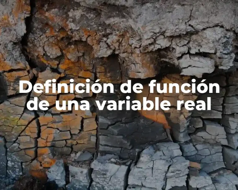 Definición de función de una variable real