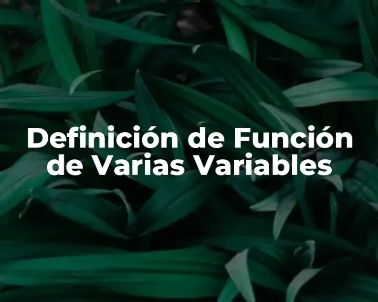 Definición de Función de Varias Variables