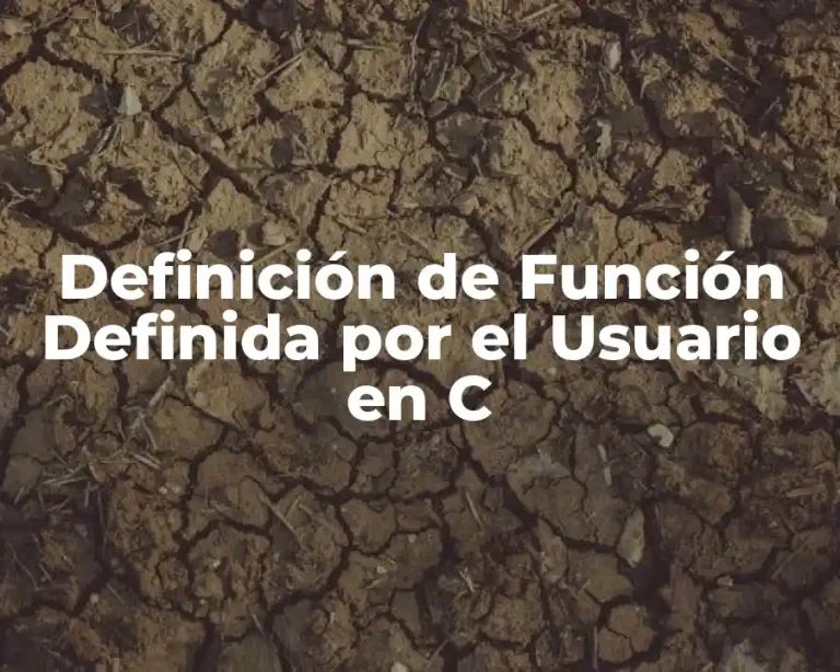 Definición de Función Definida por el Usuario en C