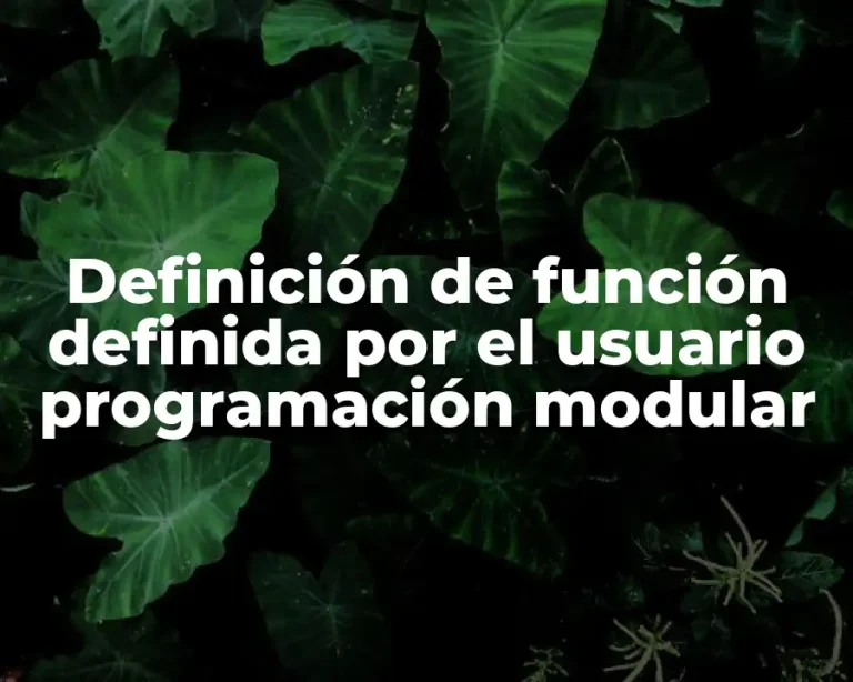 Definición de función definida por el usuario programación modular