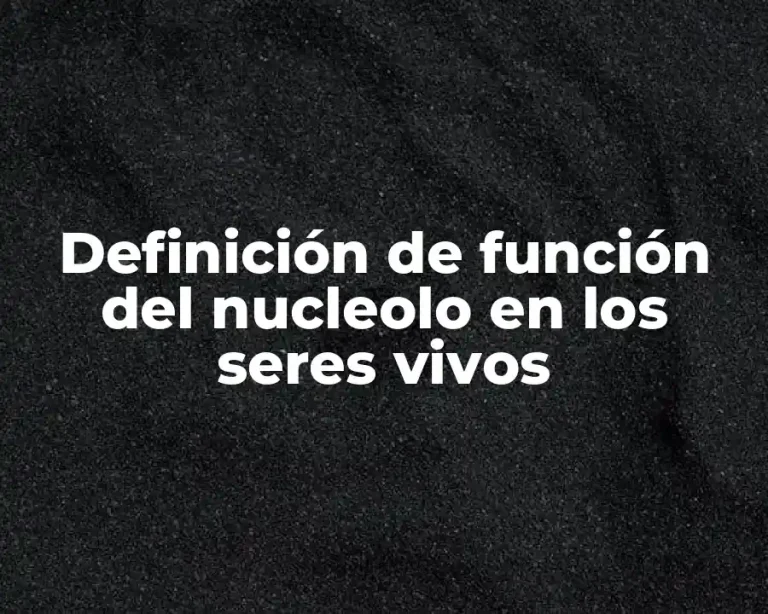 Definición de función del nucleolo en los seres vivos