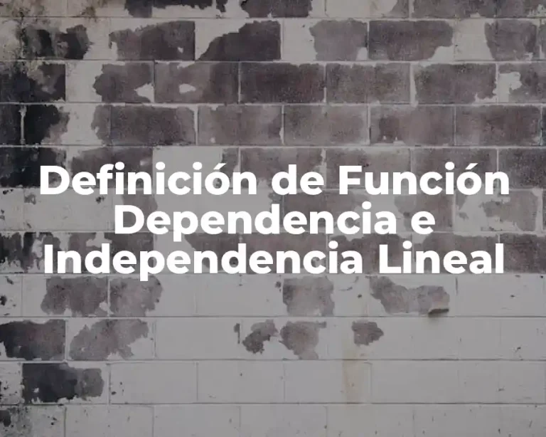 Definición de Función Dependencia e Independencia Lineal