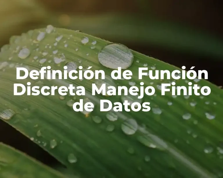 Definición de Función Discreta Manejo Finito de Datos