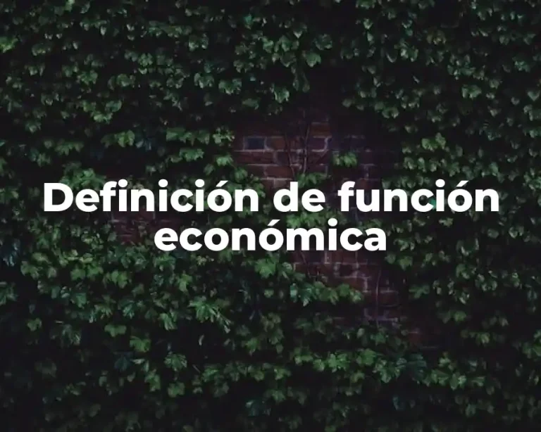 Definición de función económica
