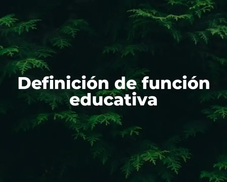 Definición de función educativa
