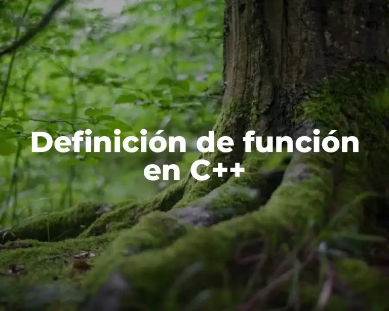 Definición de función en C++