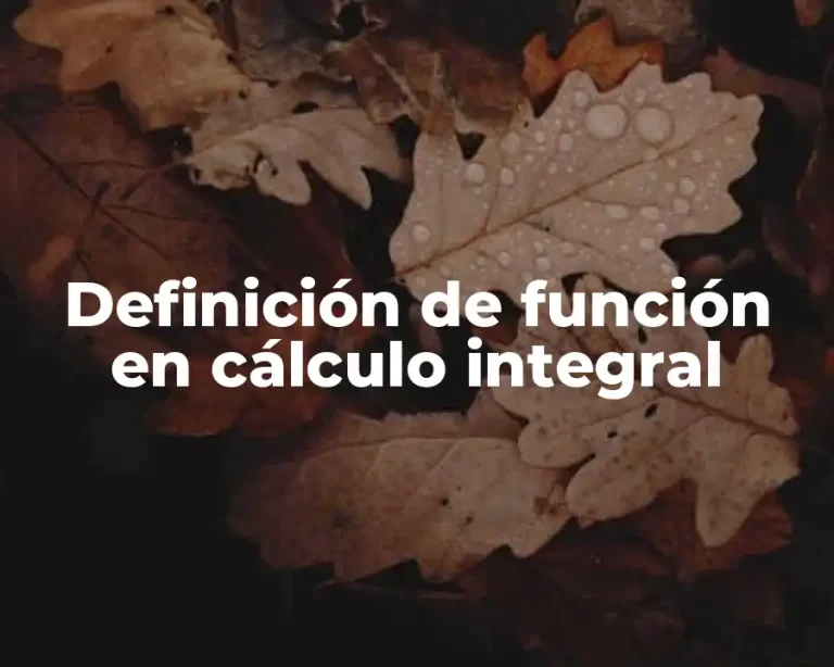 Definición de función en cálculo integral
