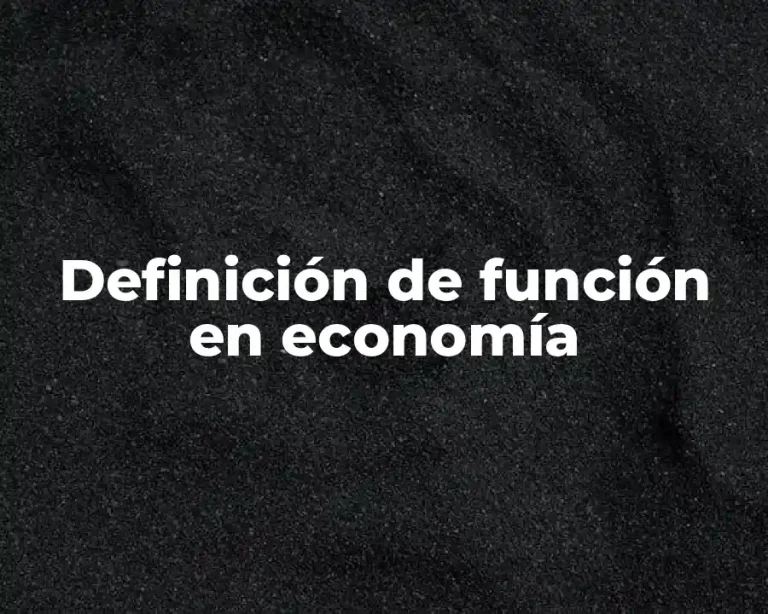 Definición de función en economía