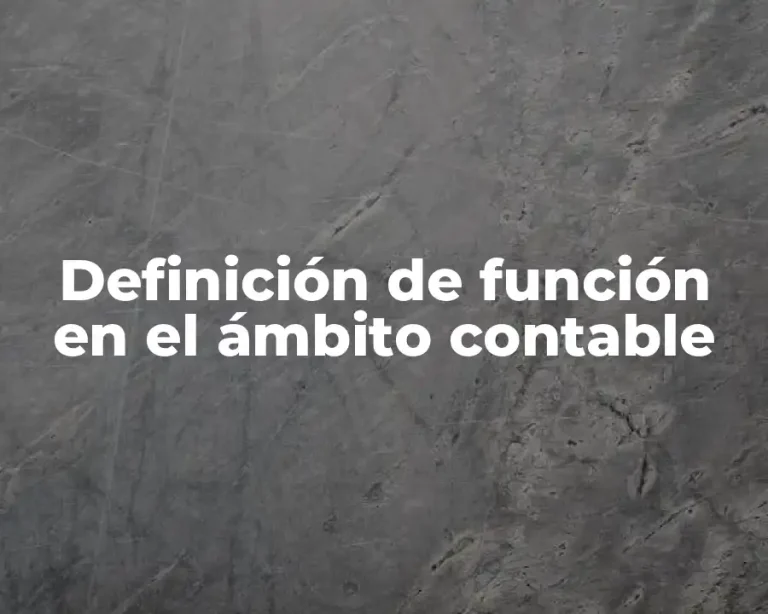 Definición de función en el ámbito contable