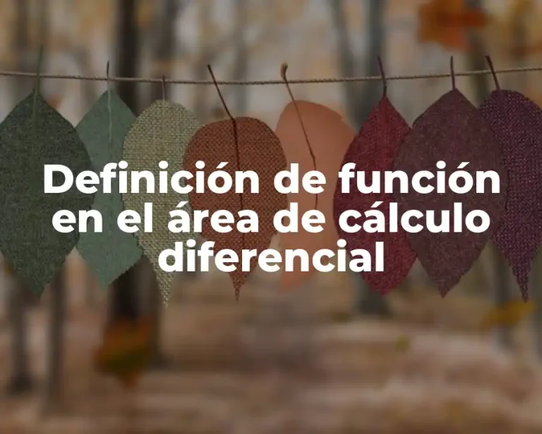 Definición de función en el área de cálculo diferencial
