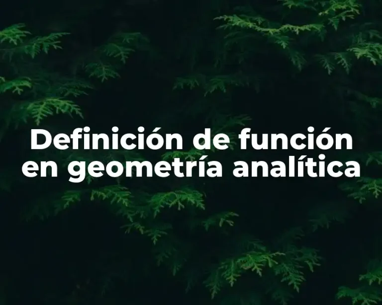 Definición de función en geometría analítica